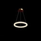 Internet Celebrity Ring Lamp Crystal Chandelier Lighting Fixture